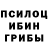 Галлюциногенные грибы мухоморы Trop marrant
