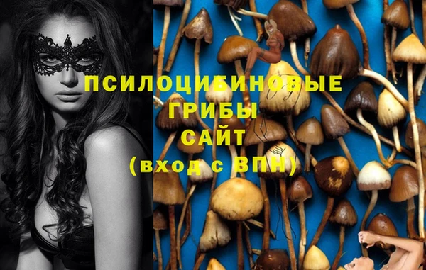 mdma Зерноград