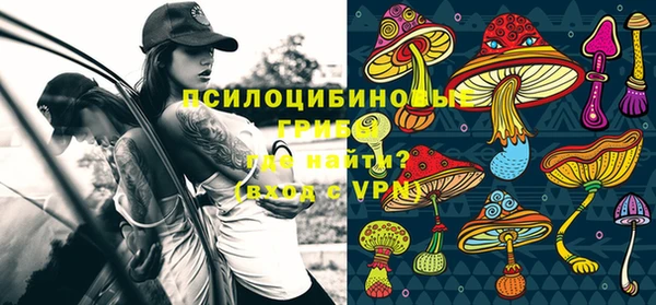 метадон Зеленокумск