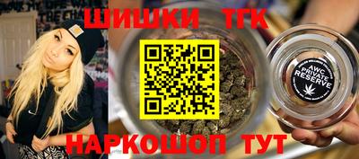 a pvp Камышлов