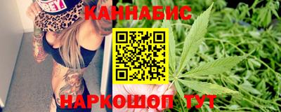 прущие грибы Кандалакша