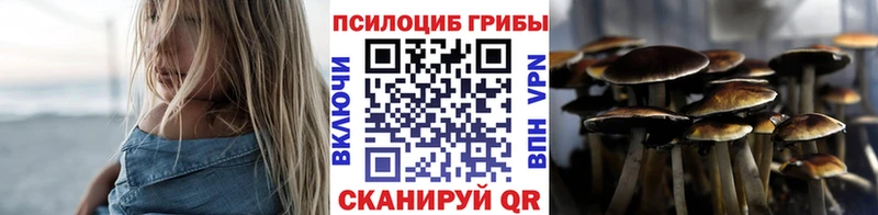 kraken вход как найти Касимов Псилоцибиновые грибы Cubensis