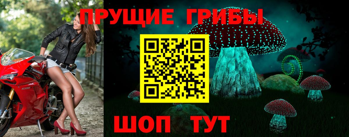 Псилоцибиновые грибы Magic Shrooms  Галлюциногенные грибы Magic Shrooms  Касимов  Вход с VPN 