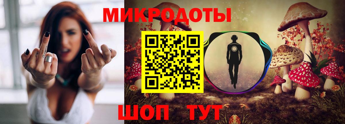 Псилоцибиновые грибы Cubensis Касимов